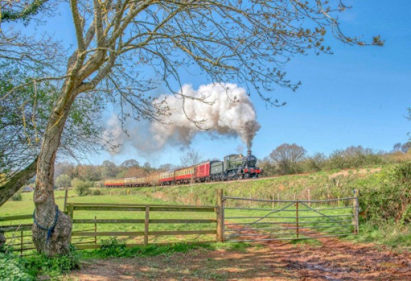 Waverley